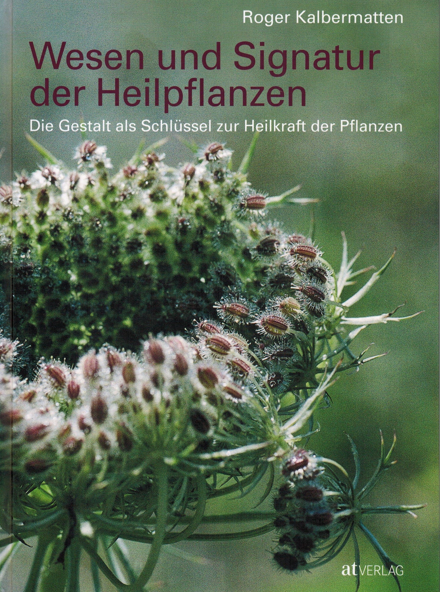 Wesen und Signatur der Heilpflanzen