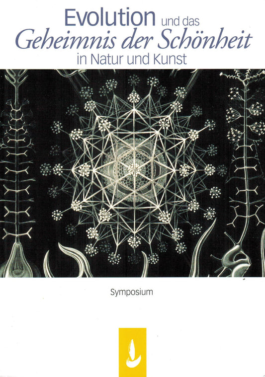 Evolution und das Geheimnis der Schönheit in Natur und Kunst