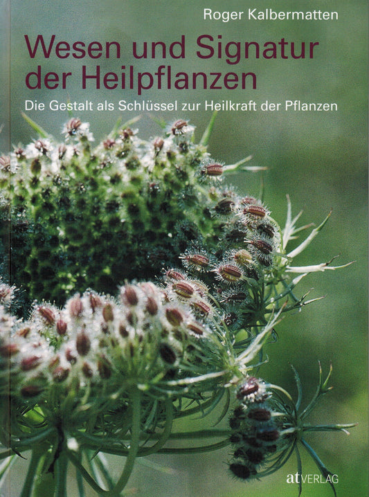 Wesen und Signatur der Heilpflanzen