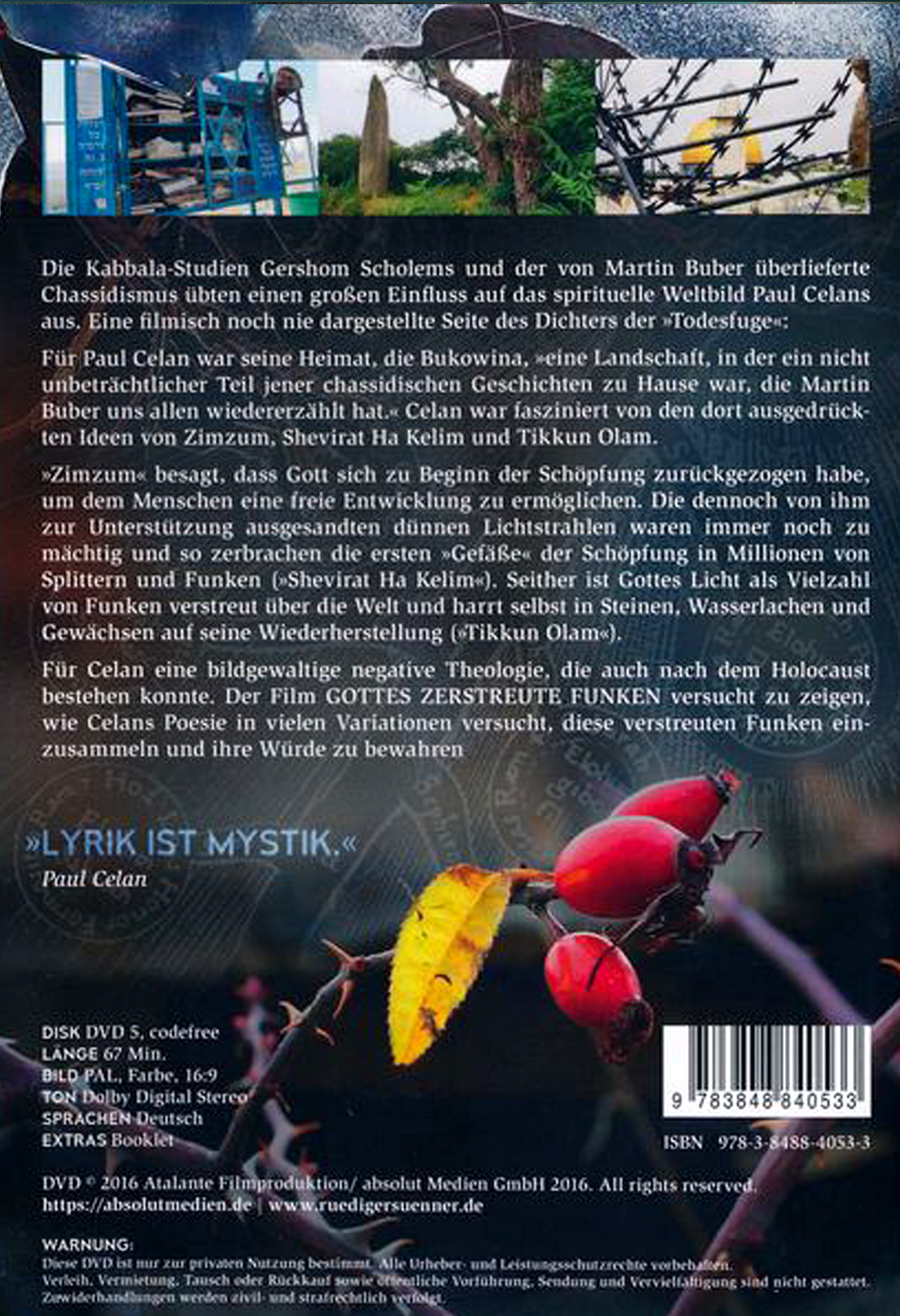 Gottes zerstreute Funken - DVD